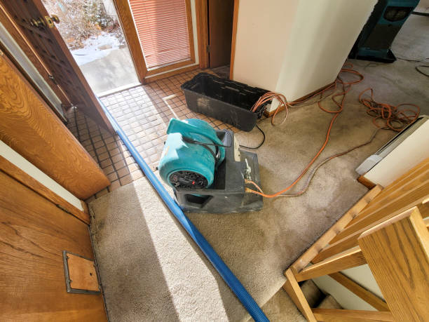 Best 24-hour water damage restoration  in Southwest Greensburg, PA