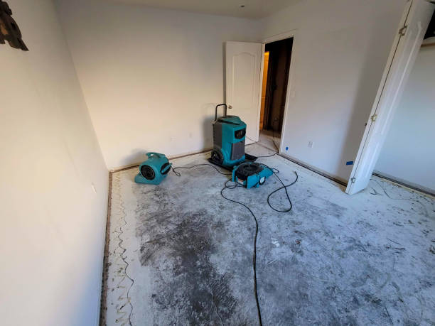 Best Water damage restoration near me  in Southwest Greensburg, PA