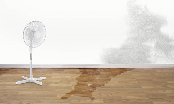 Best Emergency water damage restoration  in Southwest Greensburg, PA