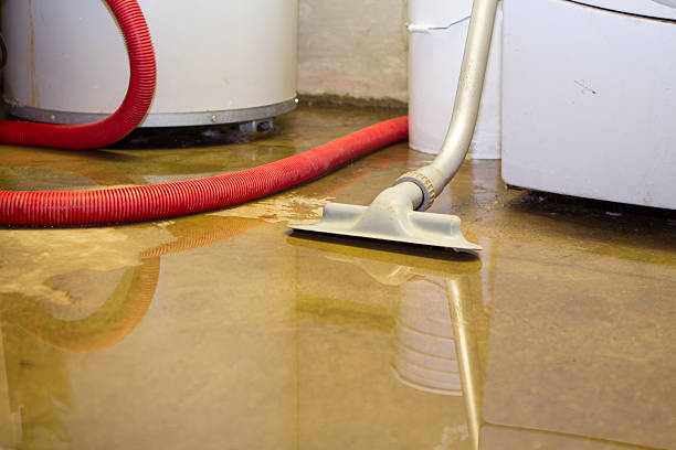 Best Flooded house restoration  in Southwest Greensburg, PA