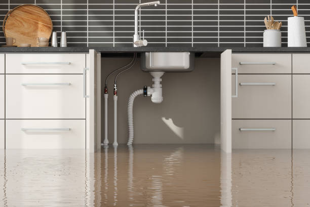 Best Flood damage cleanup  in Southwest Greensburg, PA