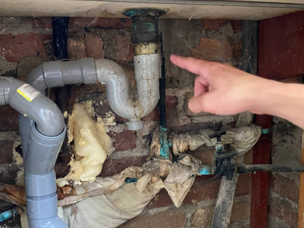 Best Water damage restoration near me  in Southwest Greensburg, PA