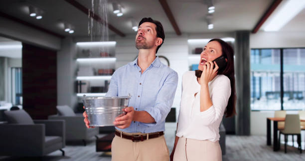 Best Commercial water damage restoration  in Southwest Greensburg, PA