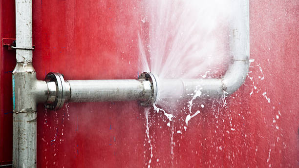 Best Carpet water damage restoration  in Southwest Greensburg, PA