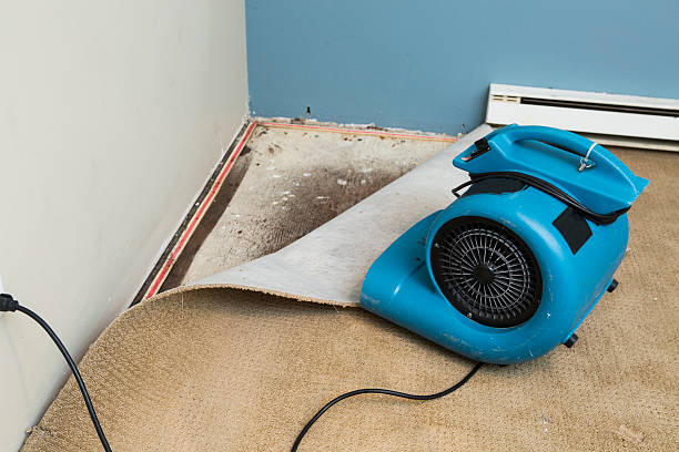 Best Residential water damage restoration  in Southwest Greensburg, PA